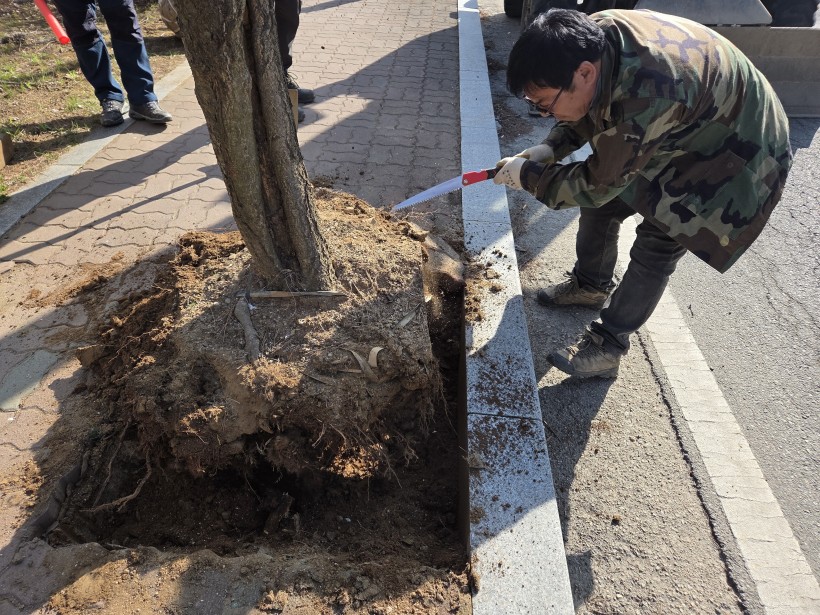 ca5553daa92136837fcca8bd2f78705c_1774512